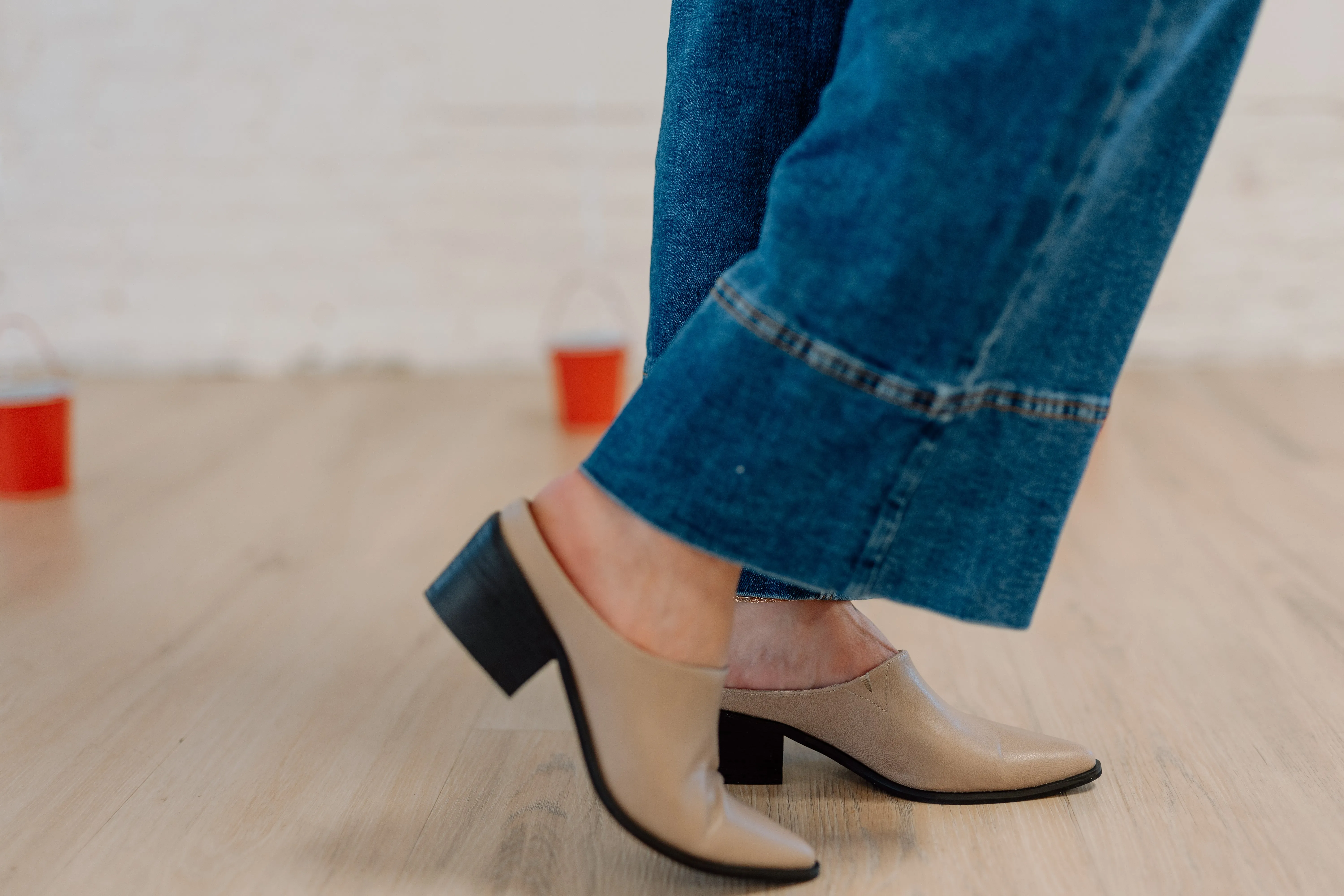 Regina Pointed Mule
