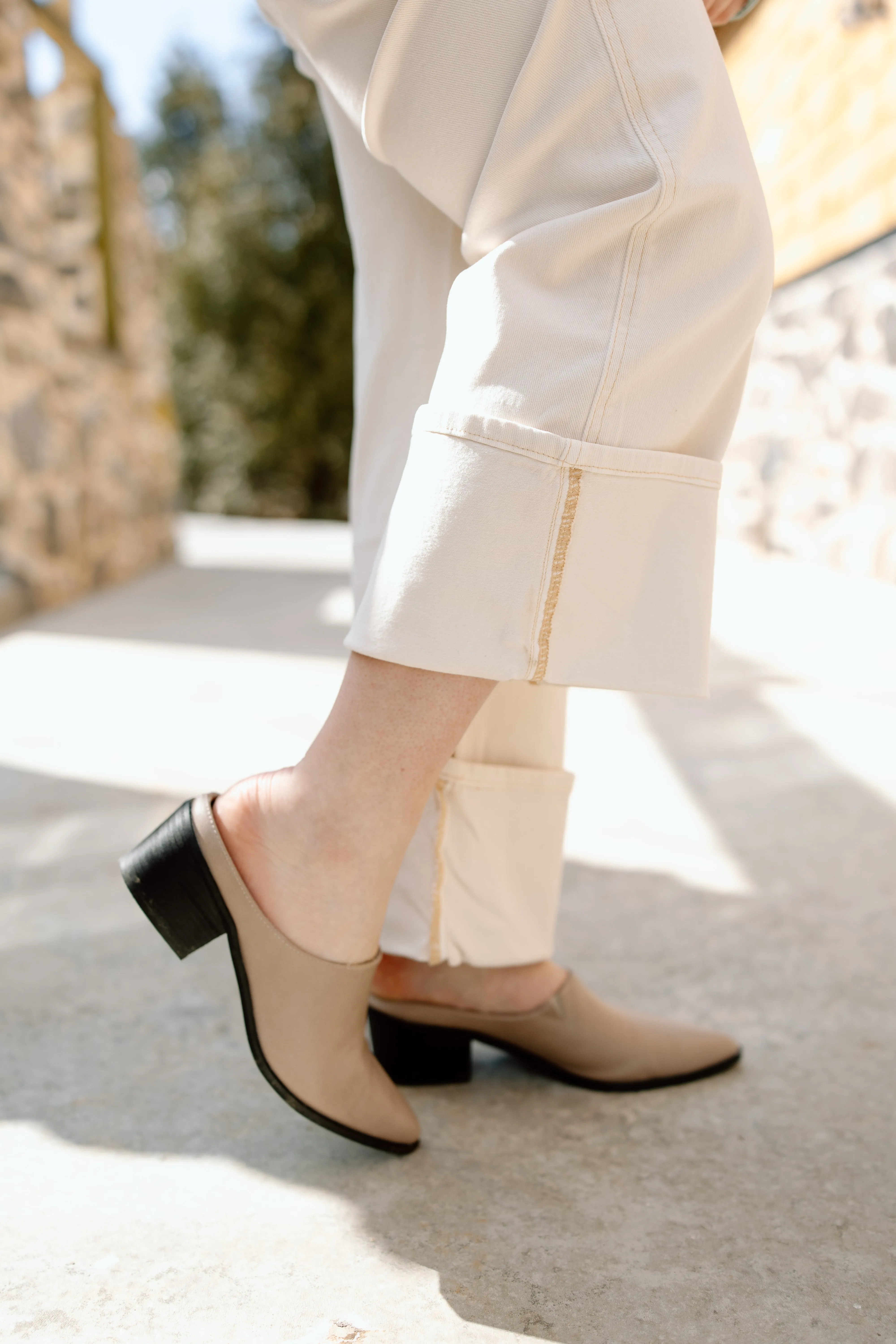 Regina Pointed Mule