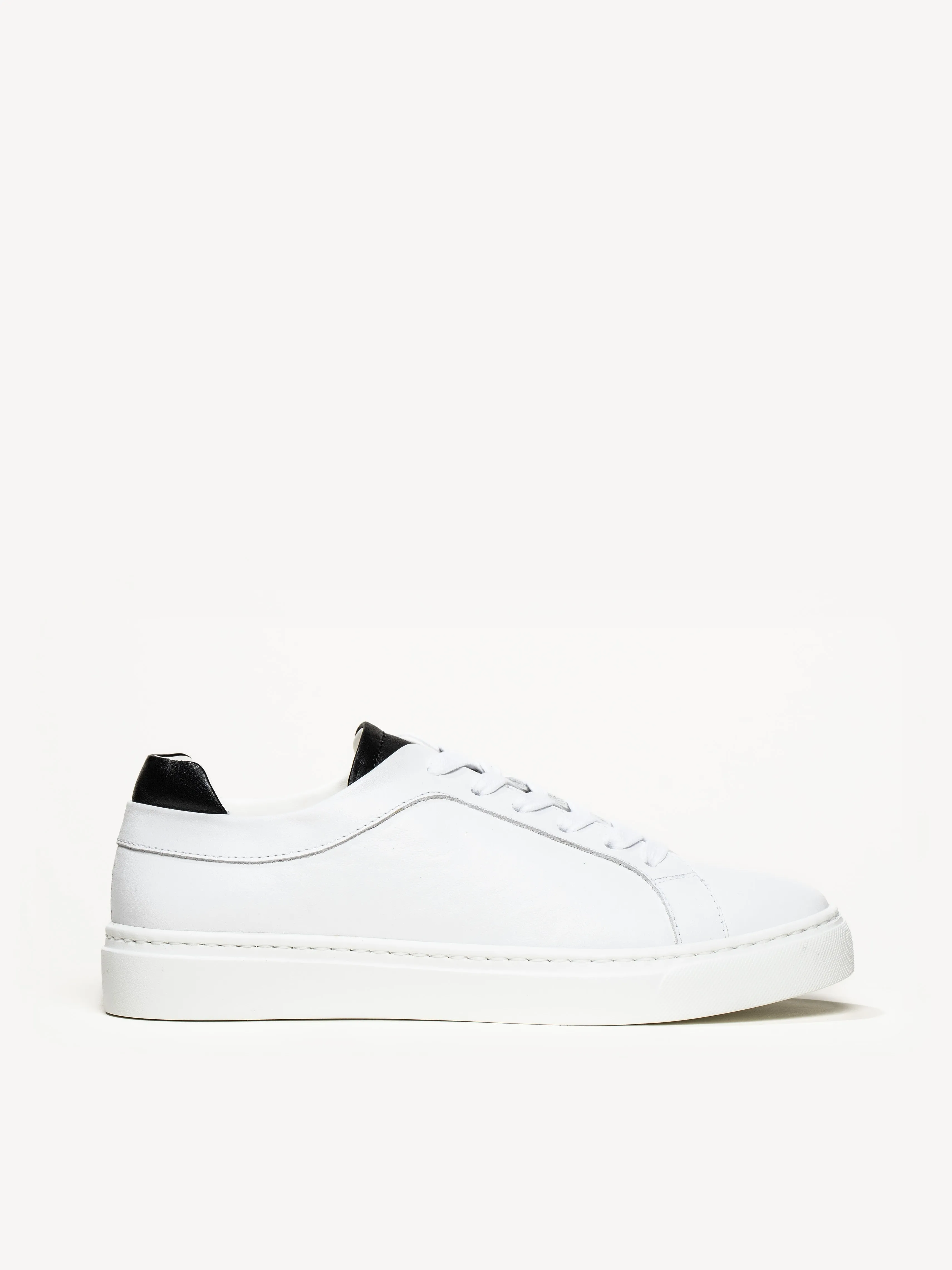 The Palestra Due (Sample Sale)