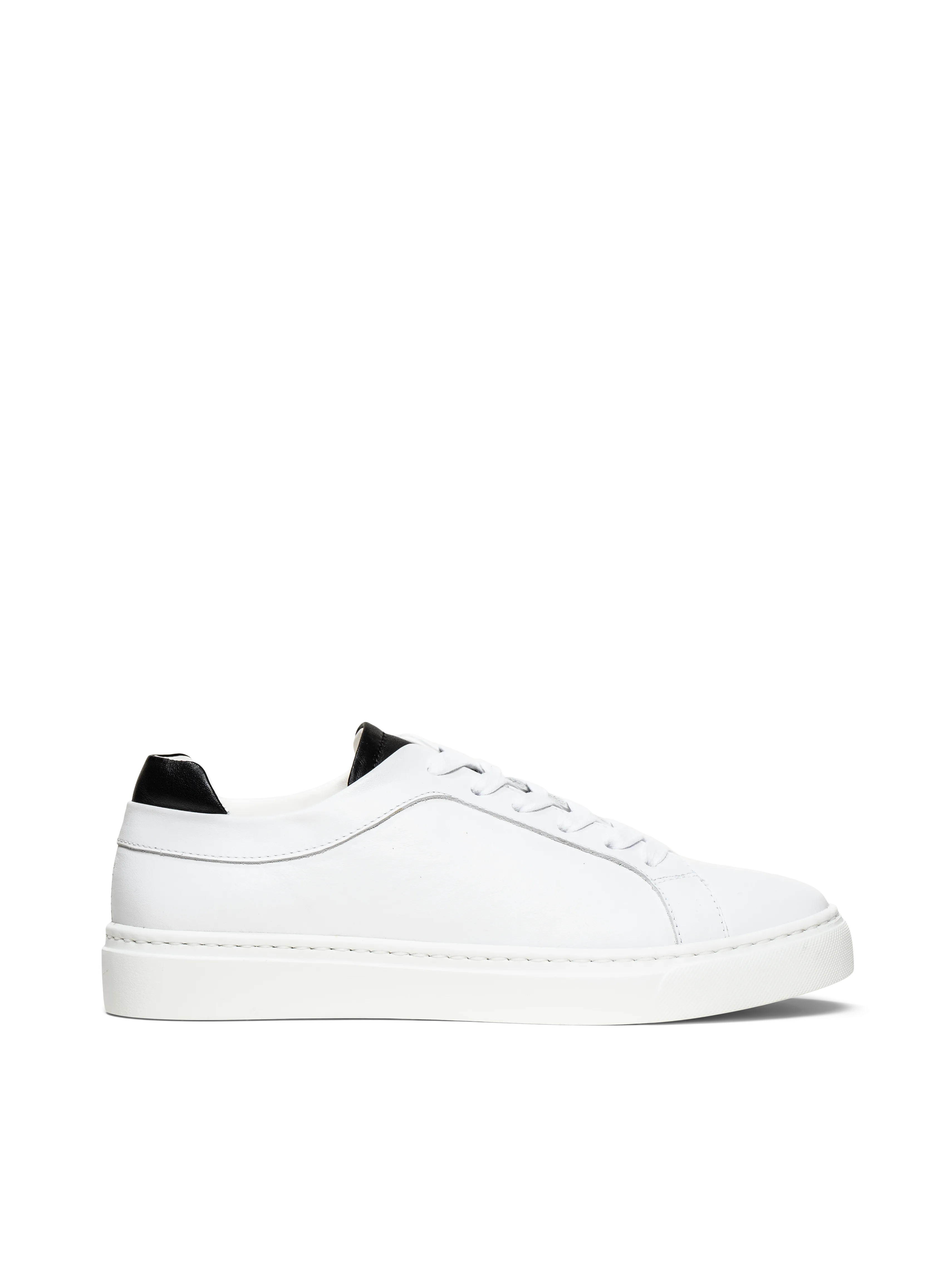 The Palestra Due (Sample Sale)
