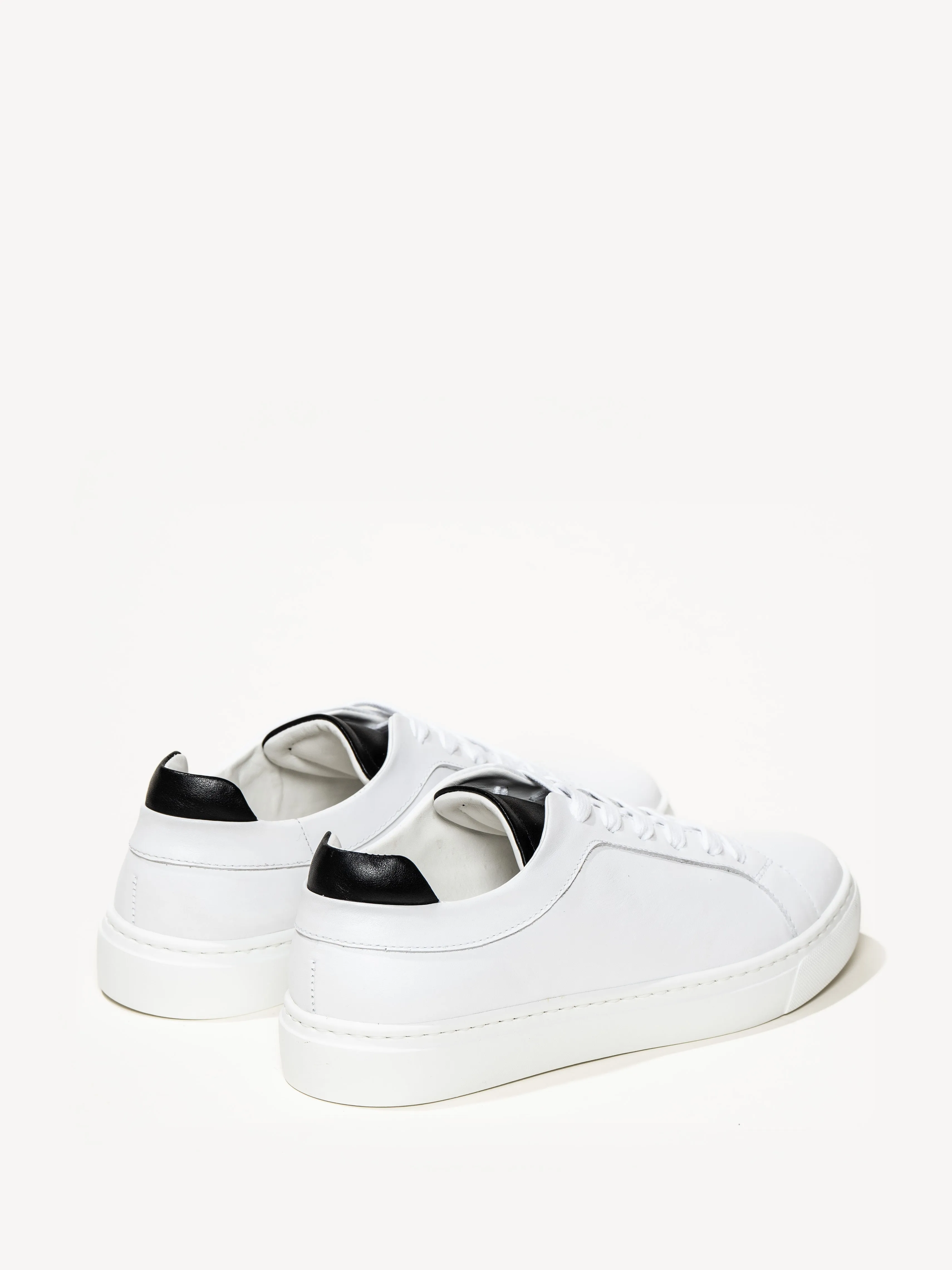 The Palestra Due (Sample Sale)