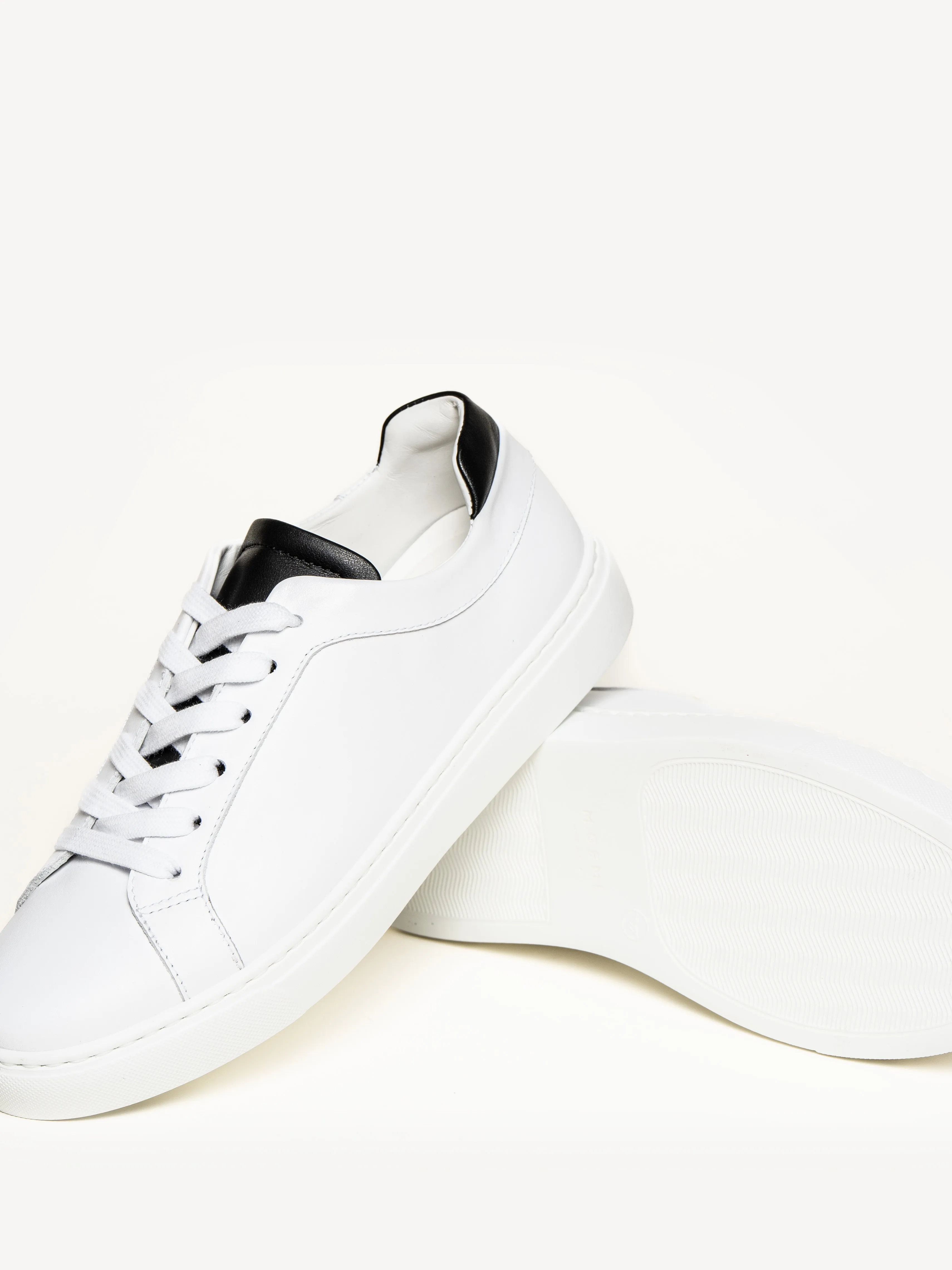 The Palestra Due (Sample Sale)